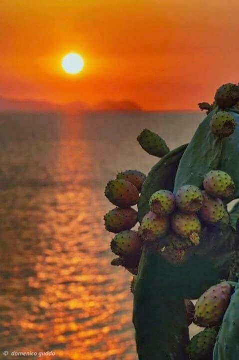 A Pozzallo Vicino Al Mare Villa Екстериор снимка